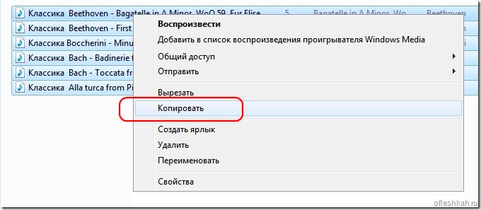 Копирование выделенных файлов Копирование выделенных файлов
