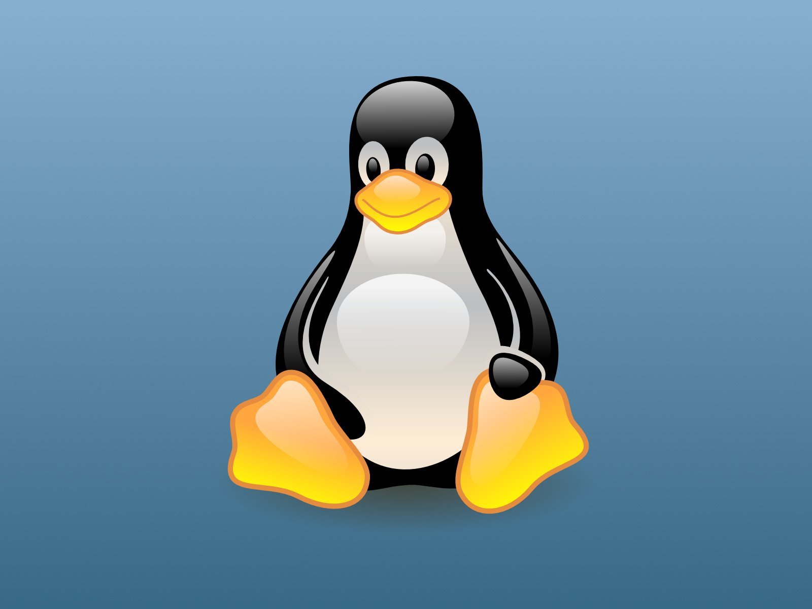 Открываем образ Linux Открываем образ Linux